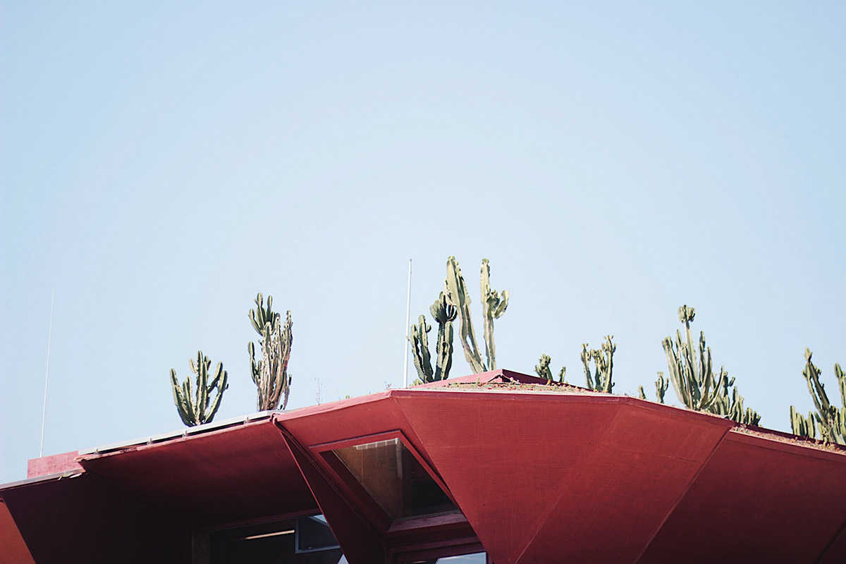 Red Fish Barcelona Restaurante